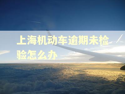 上海机动车逾期未检验怎么办