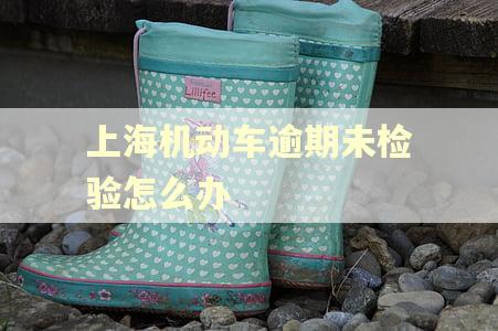 上海机动车逾期未检验怎么办