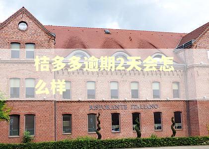 桔多多逾期2天会怎么样