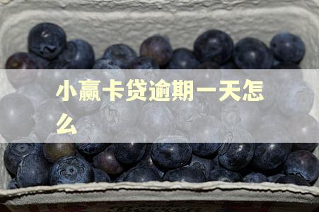 小赢卡贷逾期一天怎么