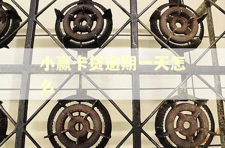 小赢卡贷逾期一天怎么