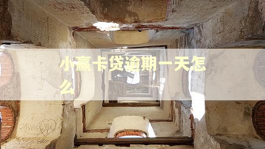 小赢卡贷逾期一天怎么