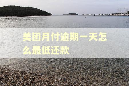 美团月付逾期一天怎么最低还款 美团月付逾期一天怎么最低还款