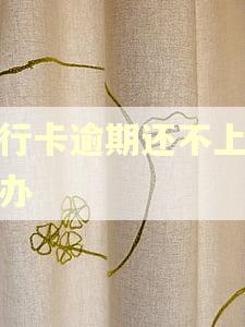 银行卡逾期还不上怎么办 银行卡逾期还不上怎么办