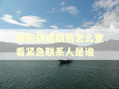 微粒贷逾期后怎么查看紧急联系人是谁