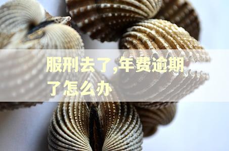 服刑去了,年费逾期了怎么办