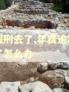 服刑去了,年费逾期了怎么办