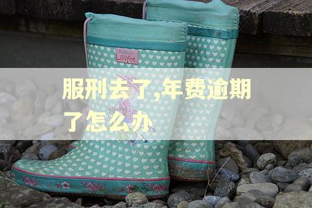 服刑去了,年费逾期了怎么办