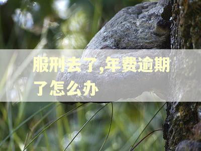 服刑去了,年费逾期了怎么办 服刑去了,年费逾期了怎么办