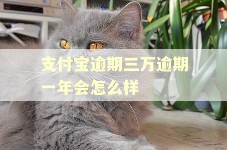 支付宝逾期三万逾期一年会怎么样