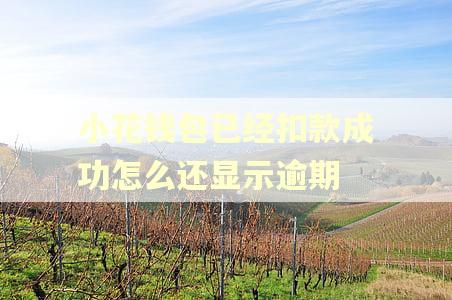 小花钱包已经扣款成功怎么还显示逾期