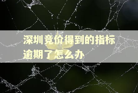 深圳竞价得到的指标逾期了怎么办