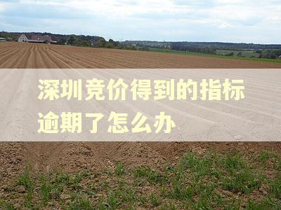深圳竞价得到的指标逾期了怎么办