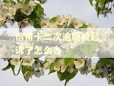 信用卡二次逾期被起诉了怎么办