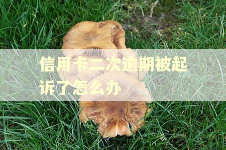 信用卡二次逾期被起诉了怎么办
