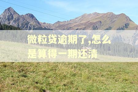 微粒贷逾期了,怎么是算得一期还清