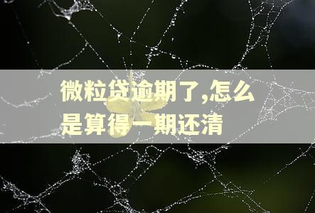 微粒贷逾期了,怎么是算得一期还清