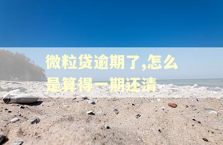微粒贷逾期了,怎么是算得一期还清