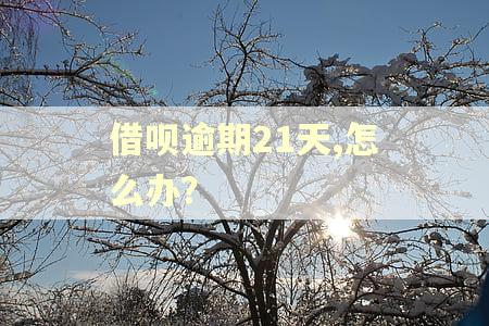 借呗逾期21天,怎么办？