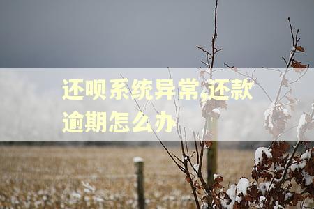 还呗系统异常,还款逾期怎么办 还呗系统异常,还款逾期怎么办