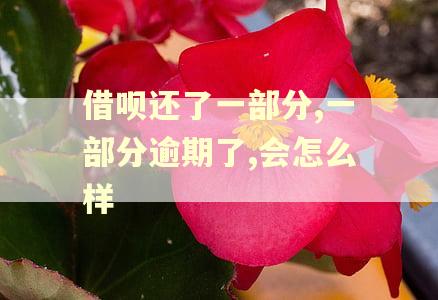 借呗还了一部分,一部分逾期了,会怎么样