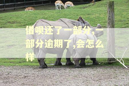 借呗还了一部分,一部分逾期了,会怎么样