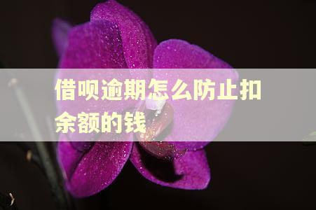 借呗逾期怎么防止扣余额的钱