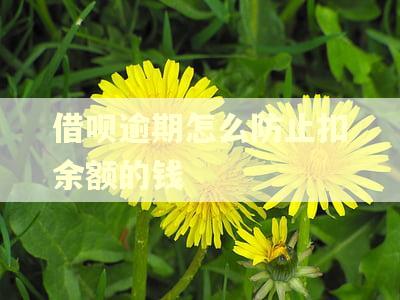 借呗逾期怎么防止扣余额的钱