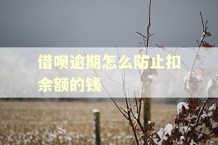 借呗逾期怎么防止扣余额的钱 借呗逾期怎么防止扣余额的钱