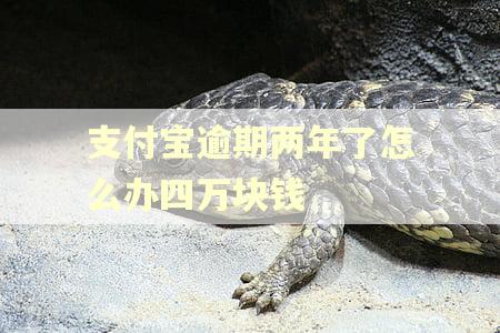 支付宝逾期两年了怎么办四万块钱