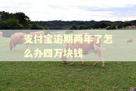 支付宝逾期两年了怎么办四万块钱 支付宝逾期两年了怎么办四万块钱
