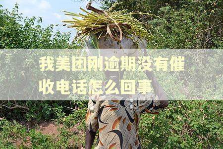 我美团刚逾期没有催收电话怎么回事