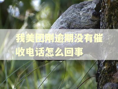 我美团刚逾期没有催收电话怎么回事