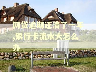 网贷逾期还清了一年,银行卡流水大怎么办
