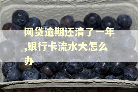 网贷逾期还清了一年,银行卡流水大怎么办