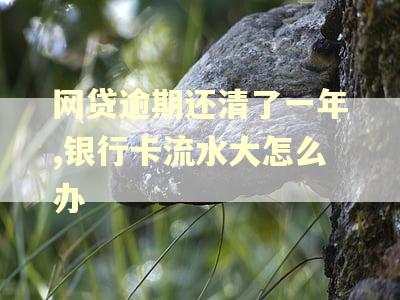 网贷逾期还清了一年,银行卡流水大怎么办