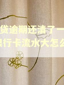 网贷逾期还清了一年,银行卡流水大怎么办 网贷逾期还清了一年,银行卡流水大怎么办