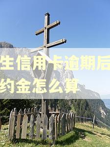 民生信用卡逾期后的违约金怎么算