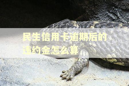民生信用卡逾期后的违约金怎么算