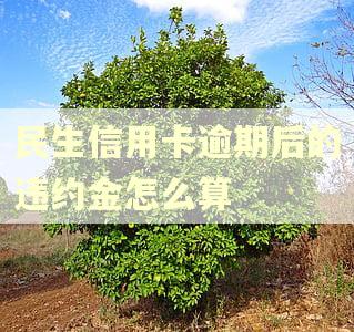 民生信用卡逾期后的违约金怎么算 民生信用卡逾期后的违约金怎么算