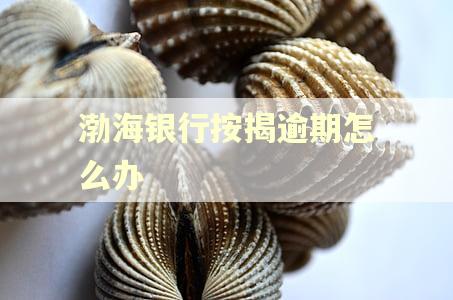 渤海银行按揭逾期怎么办