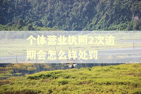 个体营业执照2次逾期会怎么样处罚