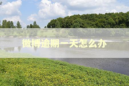 微博逾期一天怎么办