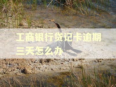工商银行贷记卡逾期三天怎么办