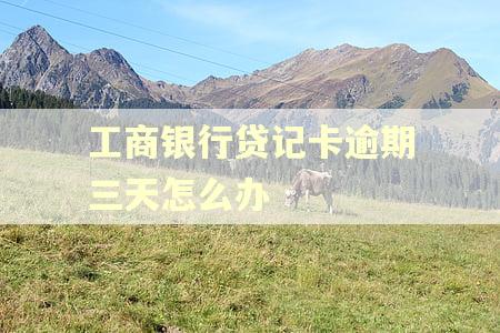 工商银行贷记卡逾期三天怎么办