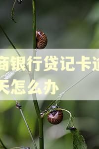 工商银行贷记卡逾期三天怎么办