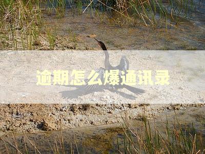 逾期怎么爆通讯录