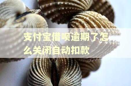 支付宝借呗逾期了怎么关闭自动扣款