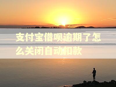 支付宝借呗逾期了怎么关闭自动扣款 支付宝借呗逾期了怎么关闭自动扣款