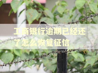 工商银行逾期已经还了怎么恢复征信